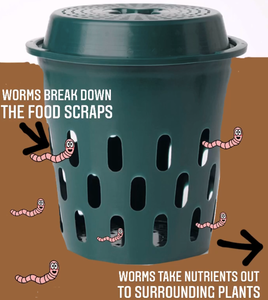 Compost Buckets 5 Pack