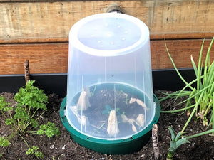 Compost Bucket Seedling Dome