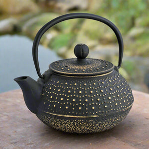Avanti Cast Iron Teapot Black Bonus Stand