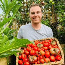 Hairloom Seeds - Tomatoes | 10 Varieties