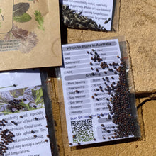 Hairloom Seeds - Leafy Greens | 10 Varieties