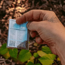 Hairloom Seeds - Leafy Greens | 10 Varieties