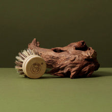 Koala Eco Traditional Dish Brush Refill