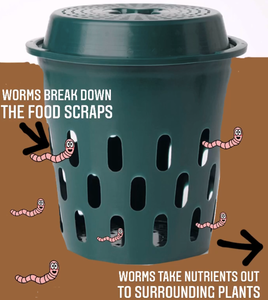 Compost Buckets | SET 2