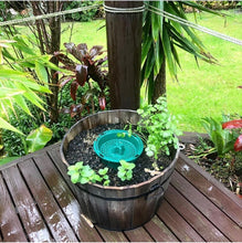Compost Bucket Wine Barrel Herb Garden